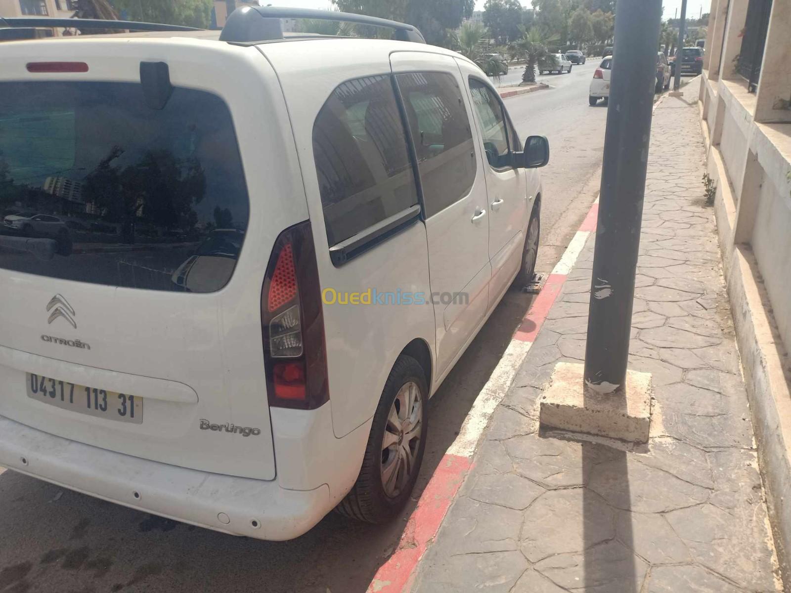 Citroen Berlingo 2013 