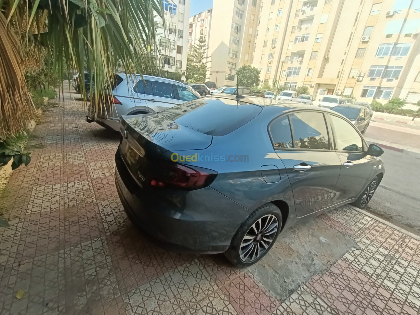 Fiat Tipo 2023 Life