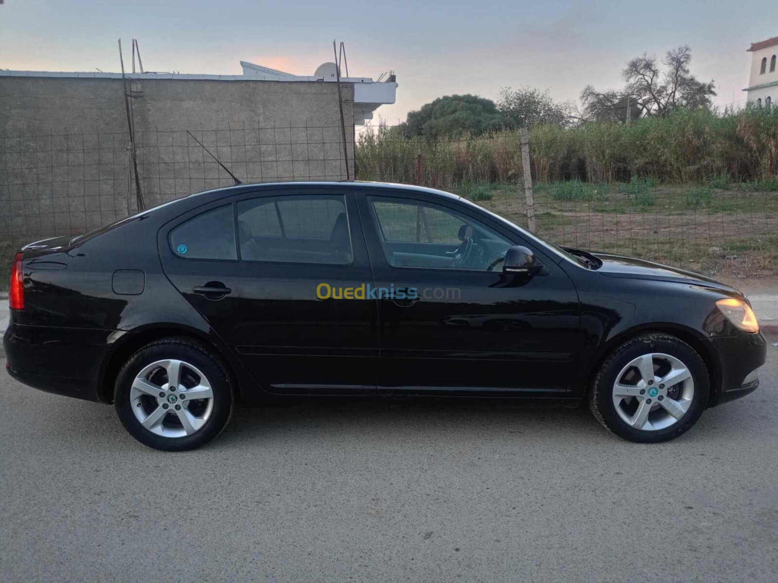 Skoda Octavia 2010 Octavia