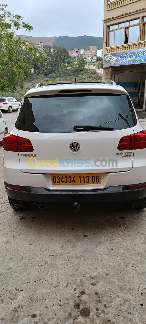 Volkswagen Tiguan 2013 Life