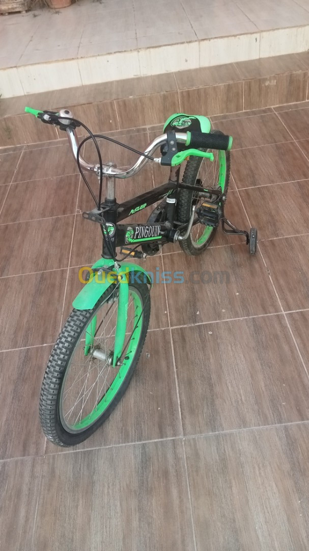 Vélo PINGOUIN 16p (6ans/12ans)