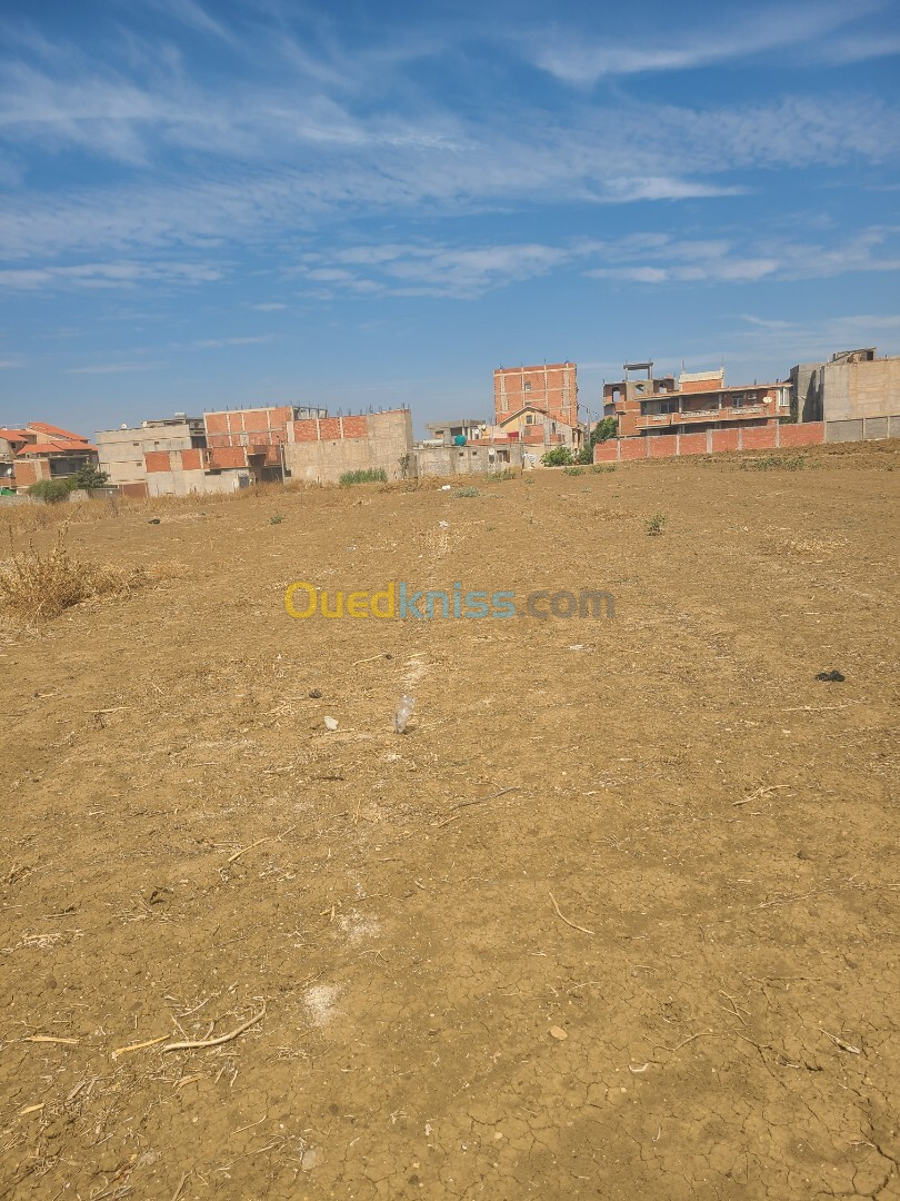 Vente Terrain Boumerdès Khemis el khechna