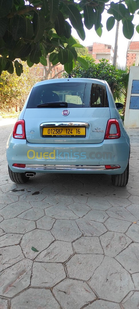 Fiat Fiat 500 2024 Dolcevita plus hybrid