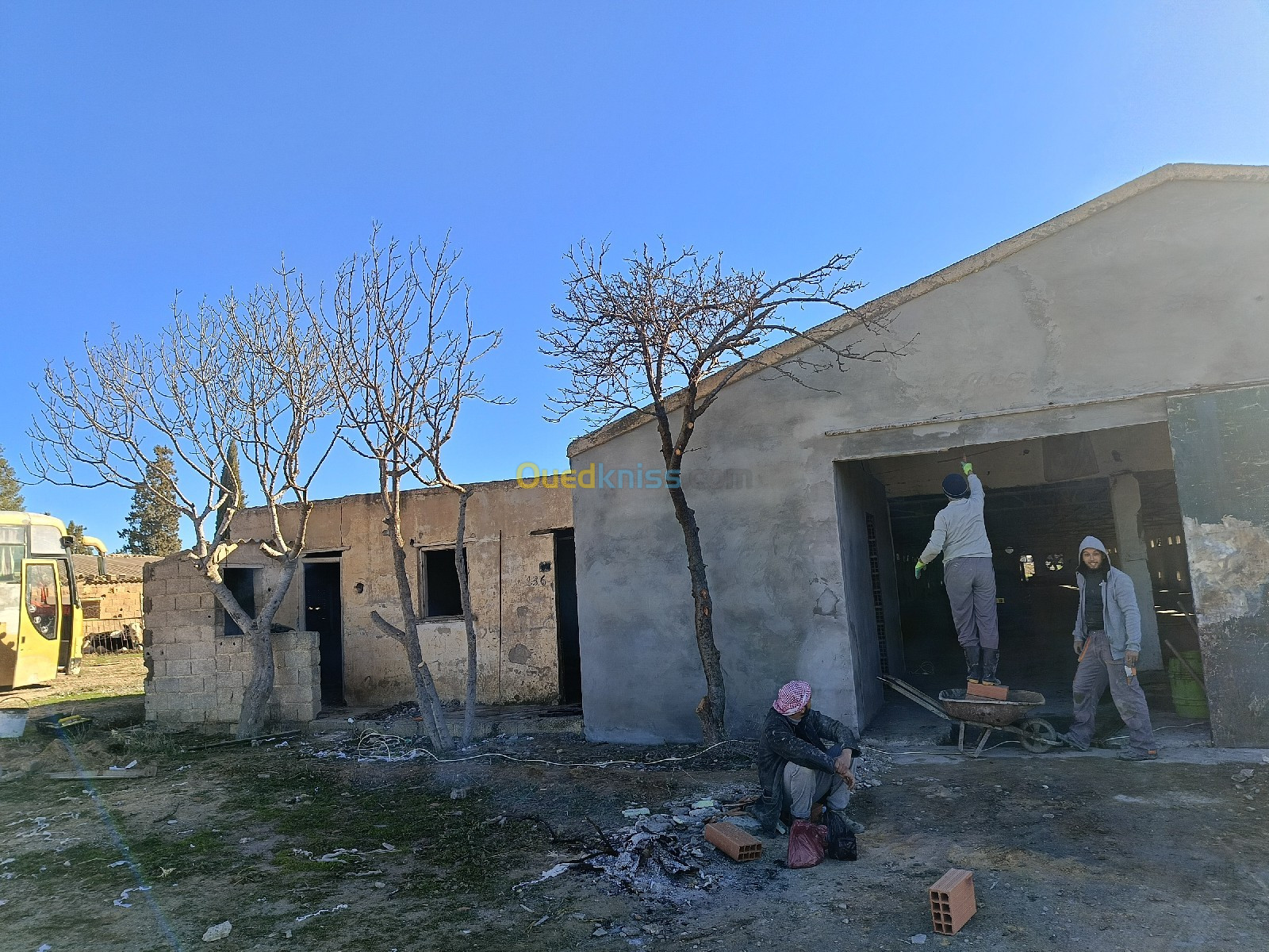 Location Hangar Sétif Mezloug