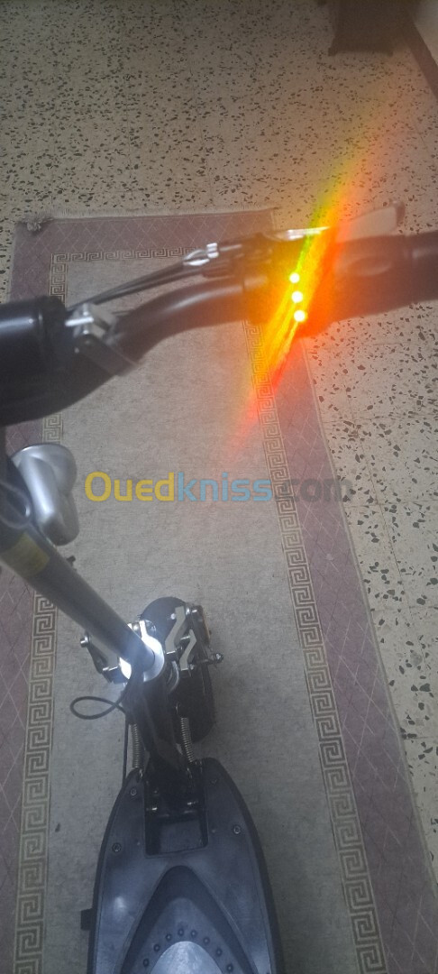 Scoter elecrique