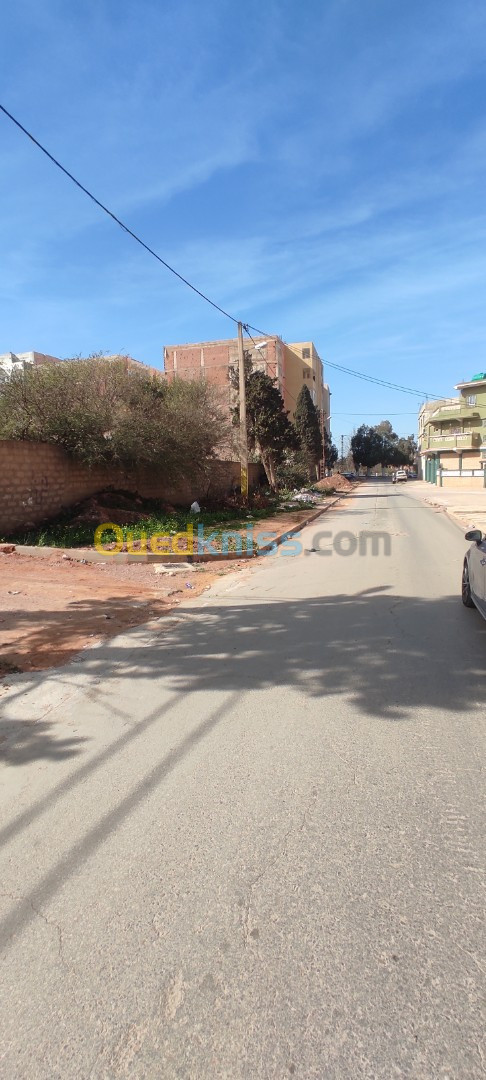 Vente Terrain Mostaganem Mostaganem