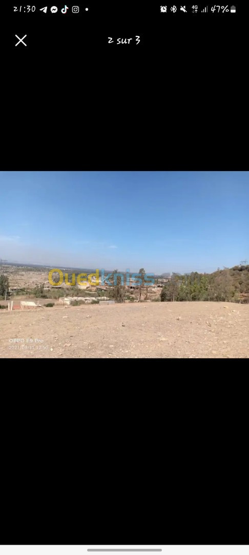 Vente Terrain Blida Hammam melouane