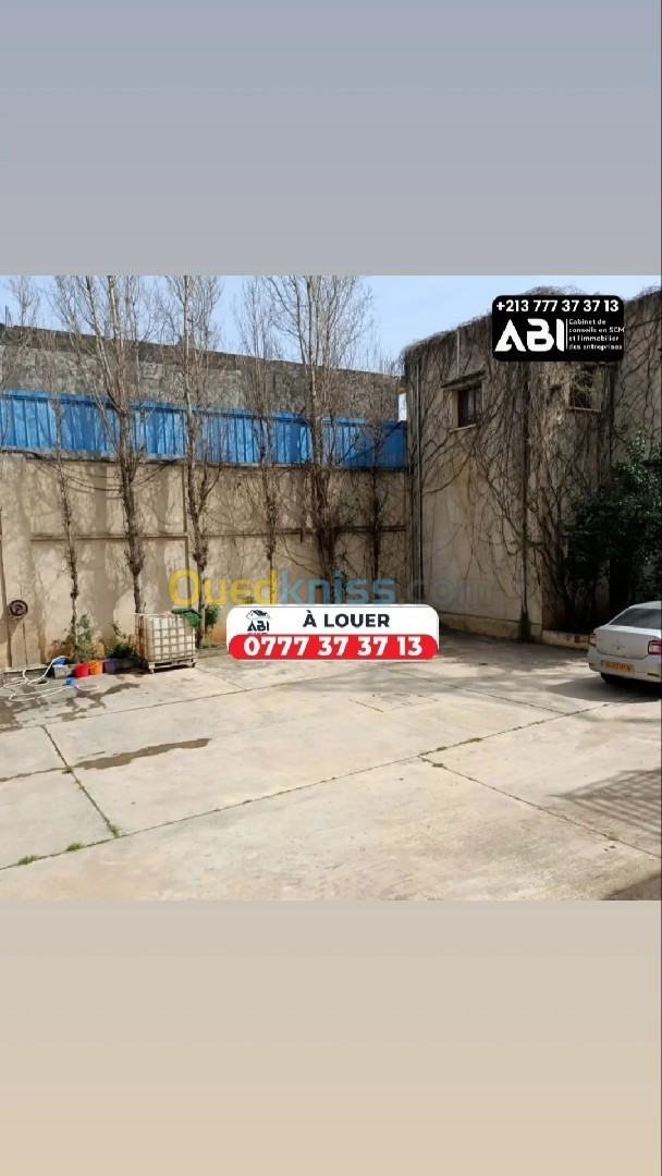 Location bien immobilier Alger Dar el beida