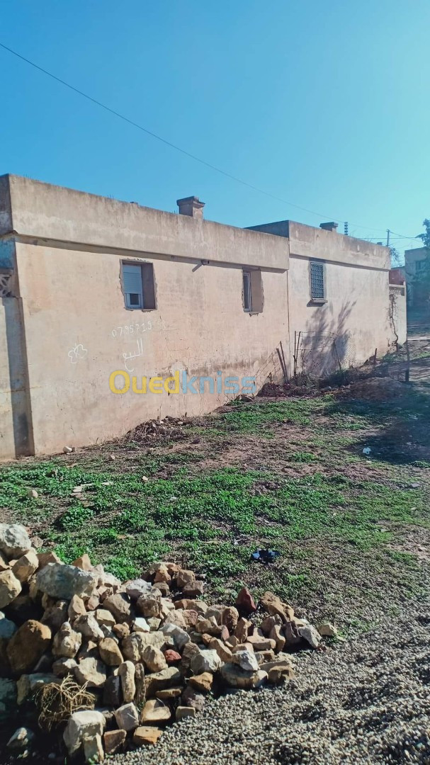 Vente Niveau De Villa F4 Tiaret Tagdemt