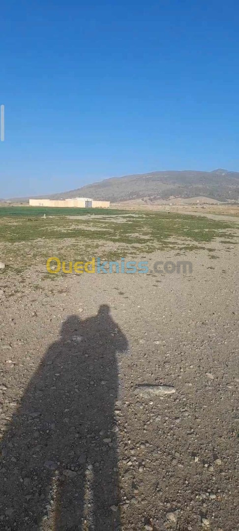 Vente Terrain Batna Oued chaaba