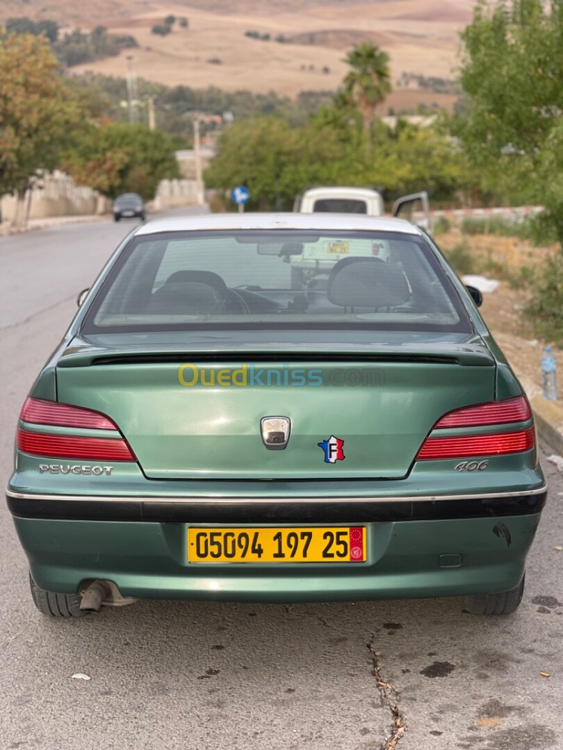 Peugeot 406 1997 406