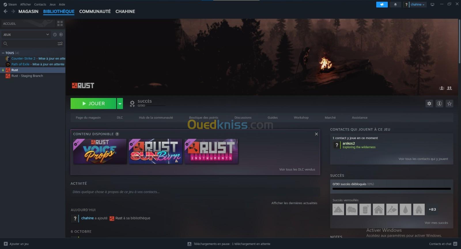 Rust pc Steam Europe très bon prix 