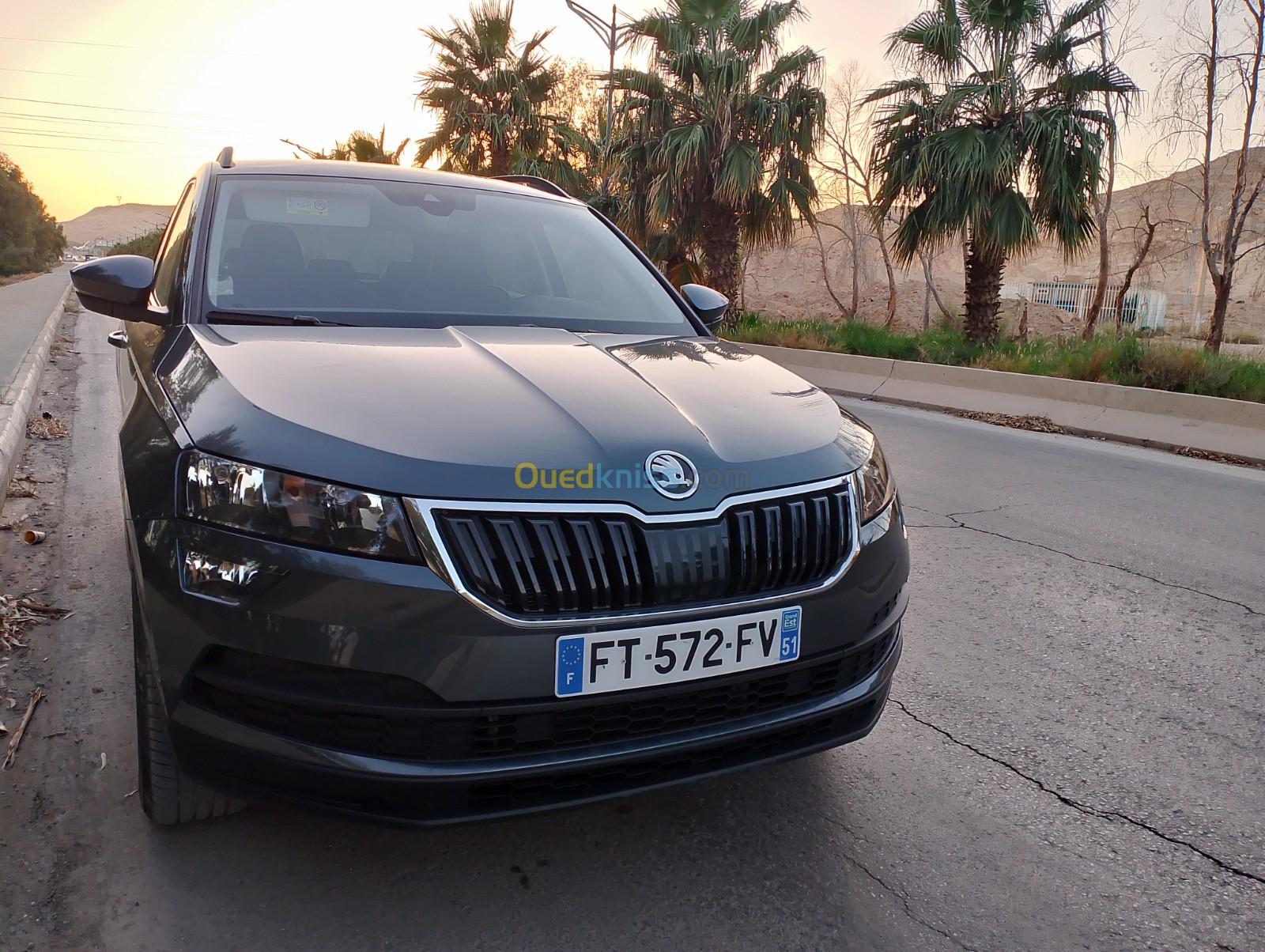 Skoda Karoq 2020 Business