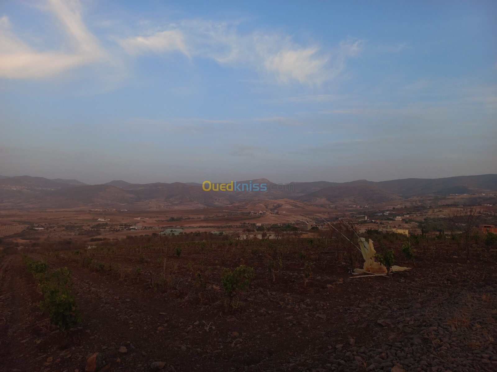 Vente Terrain Agricole Tlemcen Djebala