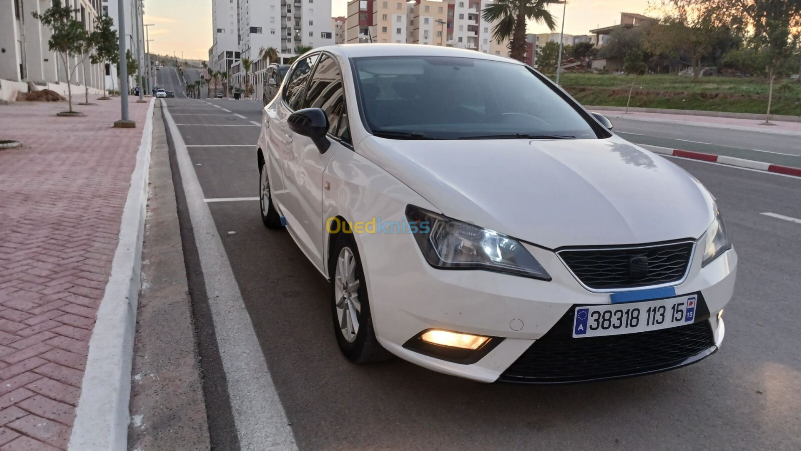 Seat Ibiza 2013 Fully