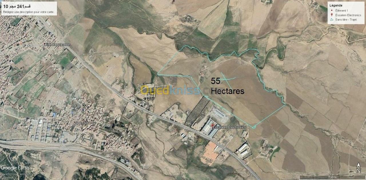 Vente Terrain Tébessa Bekkaria 