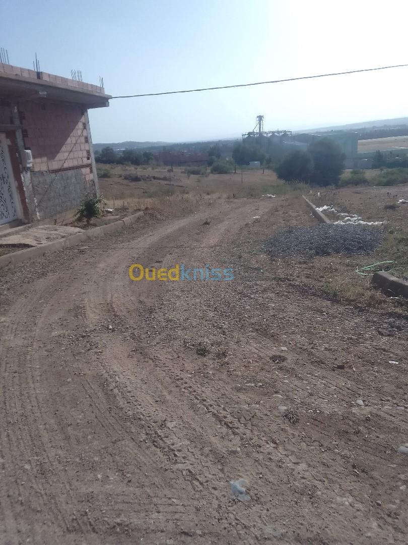 Vente Terrain Chlef Labiod medjadja