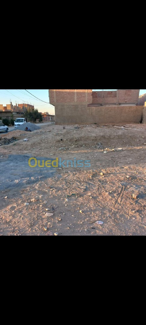 Vente Terrain Biskra Sidi okba