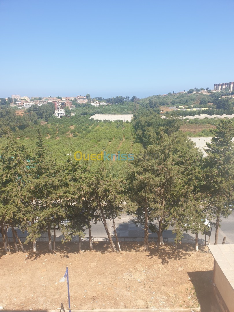 Location Appartement F3 Alger Staoueli