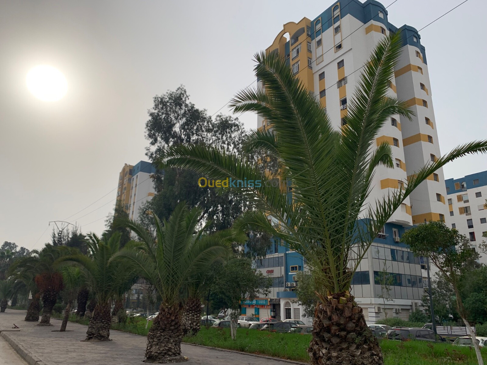 Vente Appartement F4 Alger Bab ezzouar