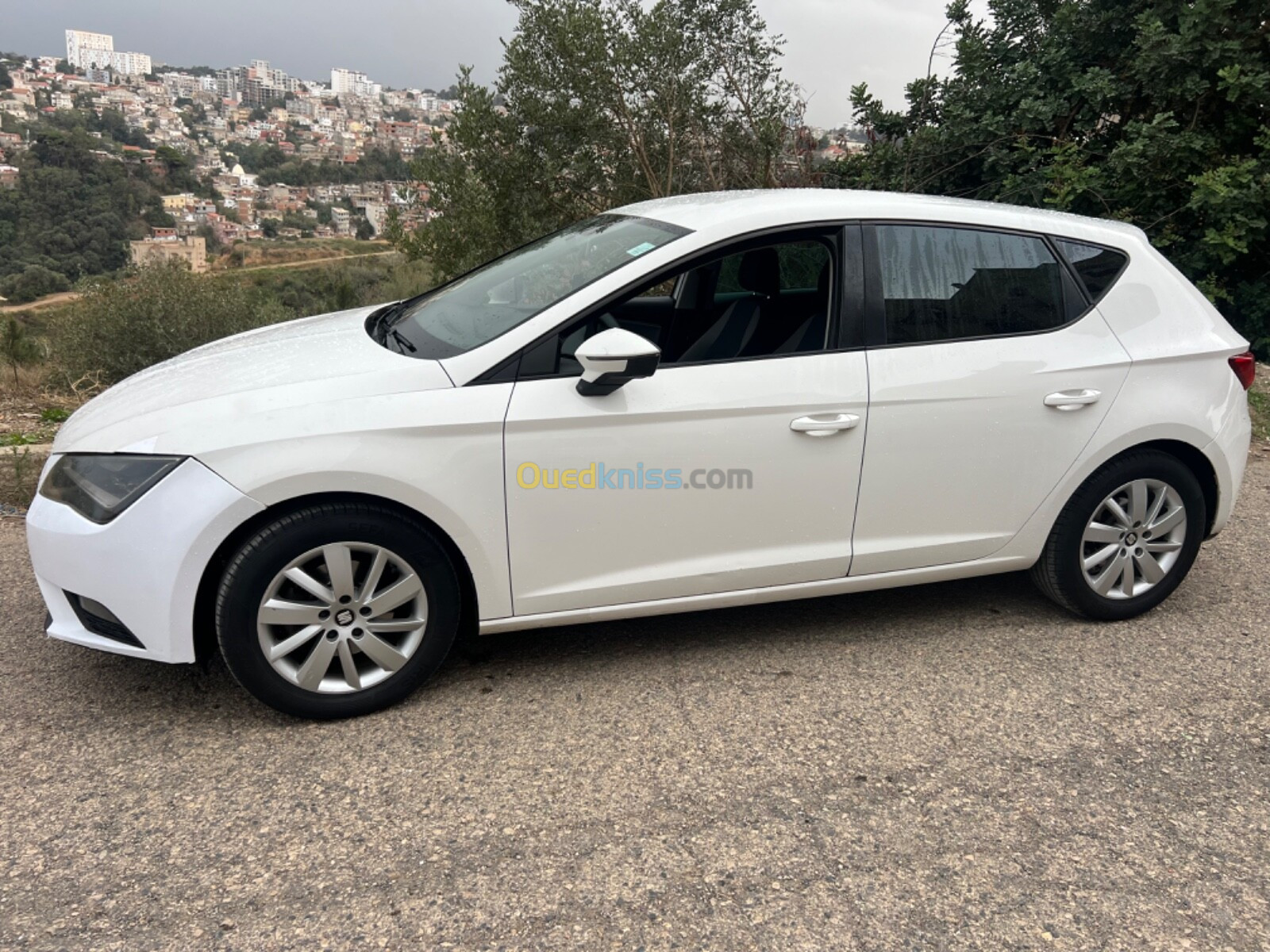 Seat Leon 2014 Fully