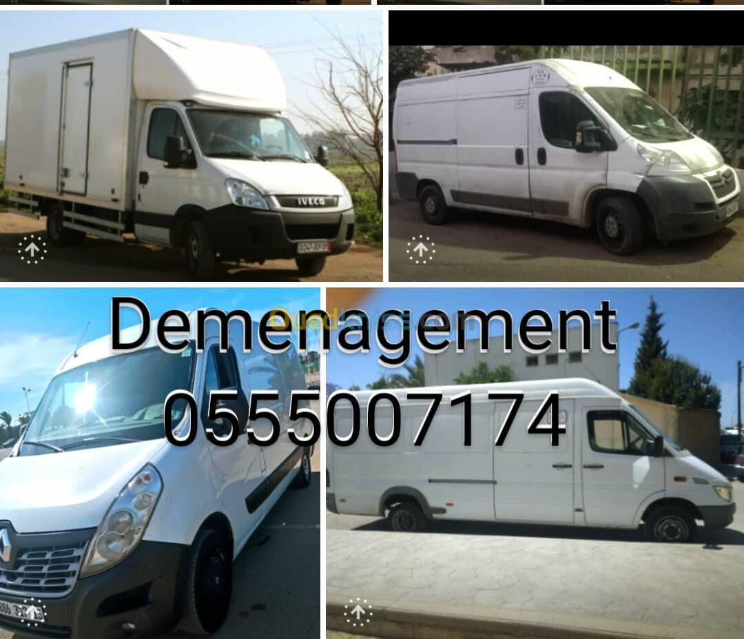 Demenagement Alger centre 