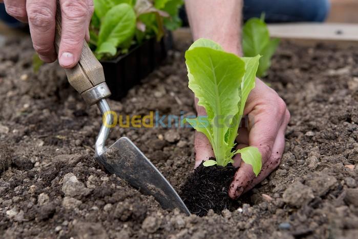 Sociėtė de jardinage Alger, aménagement des espaces verts, sociėtė de nettoyage jardinier pimpenière