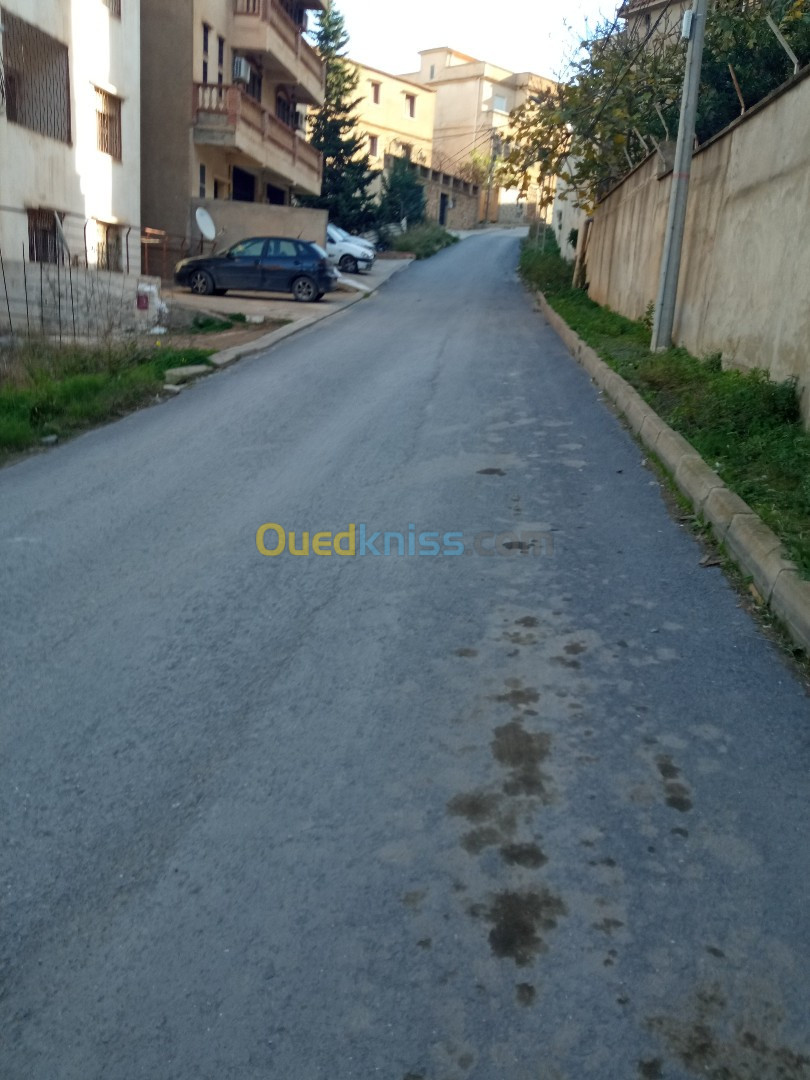 Vente Terrain Alger Bouzareah