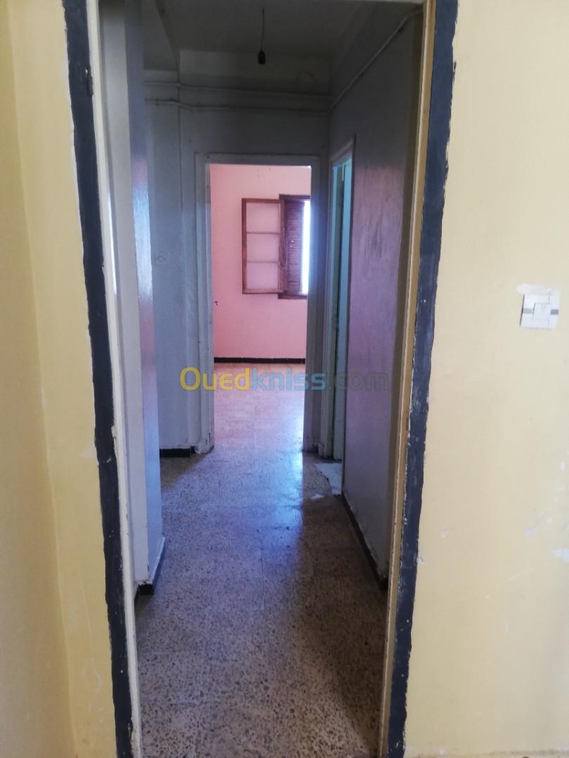 Location Appartement F2 Aïn Témouchent Hammam bouhadjar