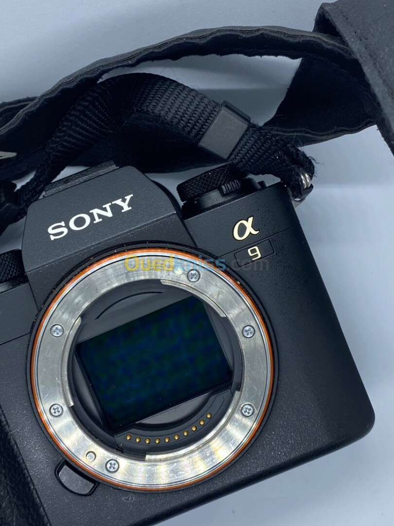 Sony Alpha 9