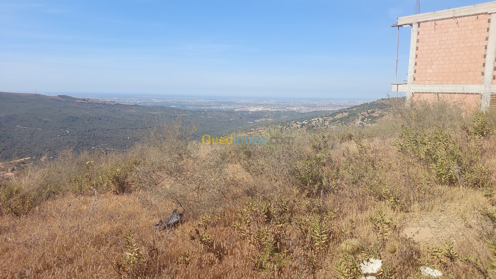 Vente Terrain Blida Djebara