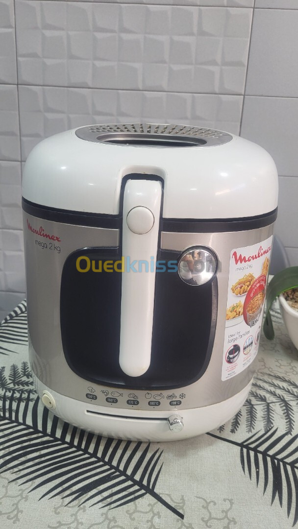 Friteuse Moulinex