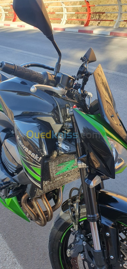 Kawasaki Z800 2015