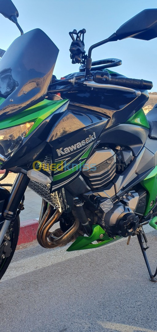 Kawasaki Z800 2015