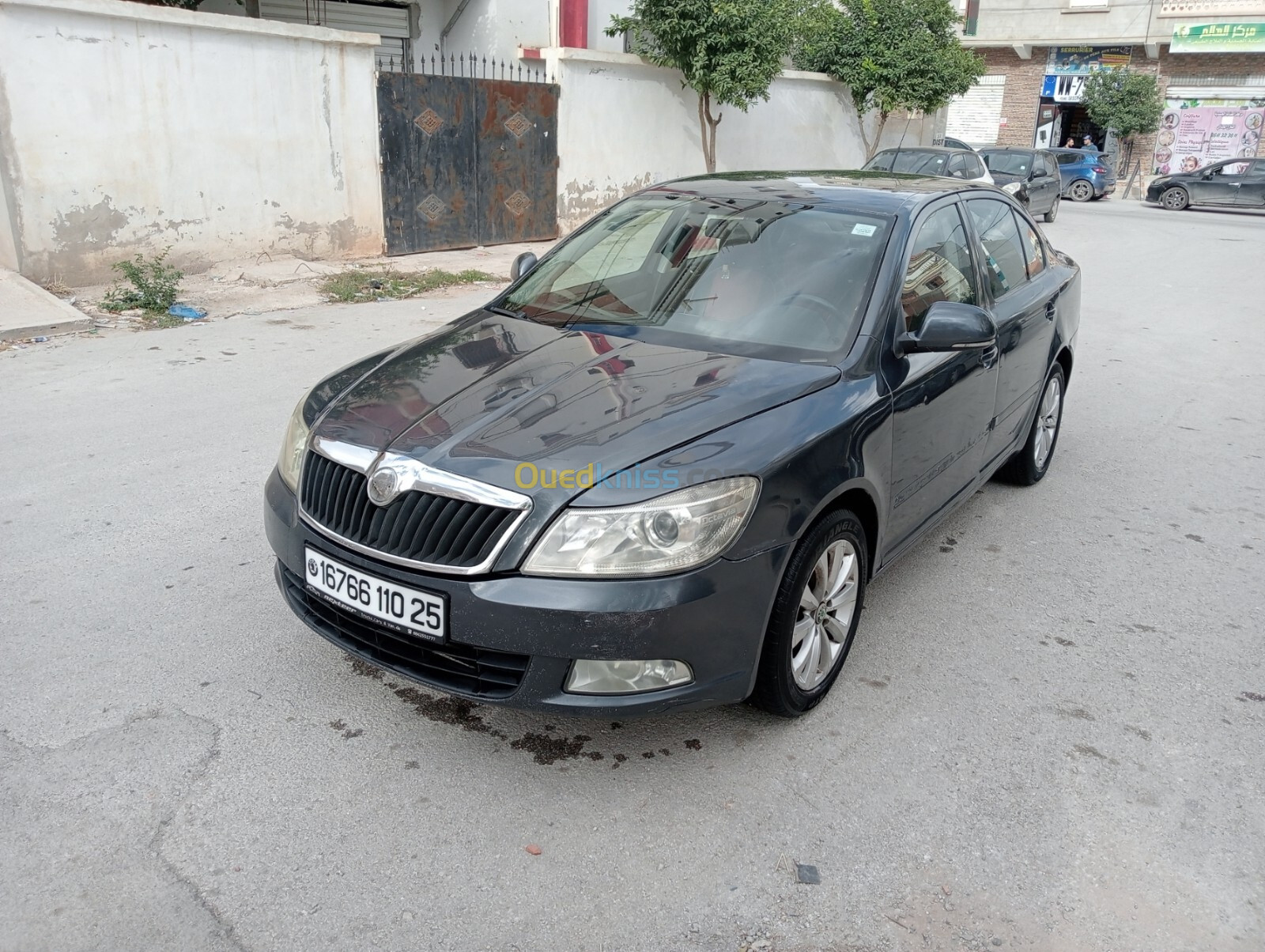 Skoda Octavia 2010 Octavia