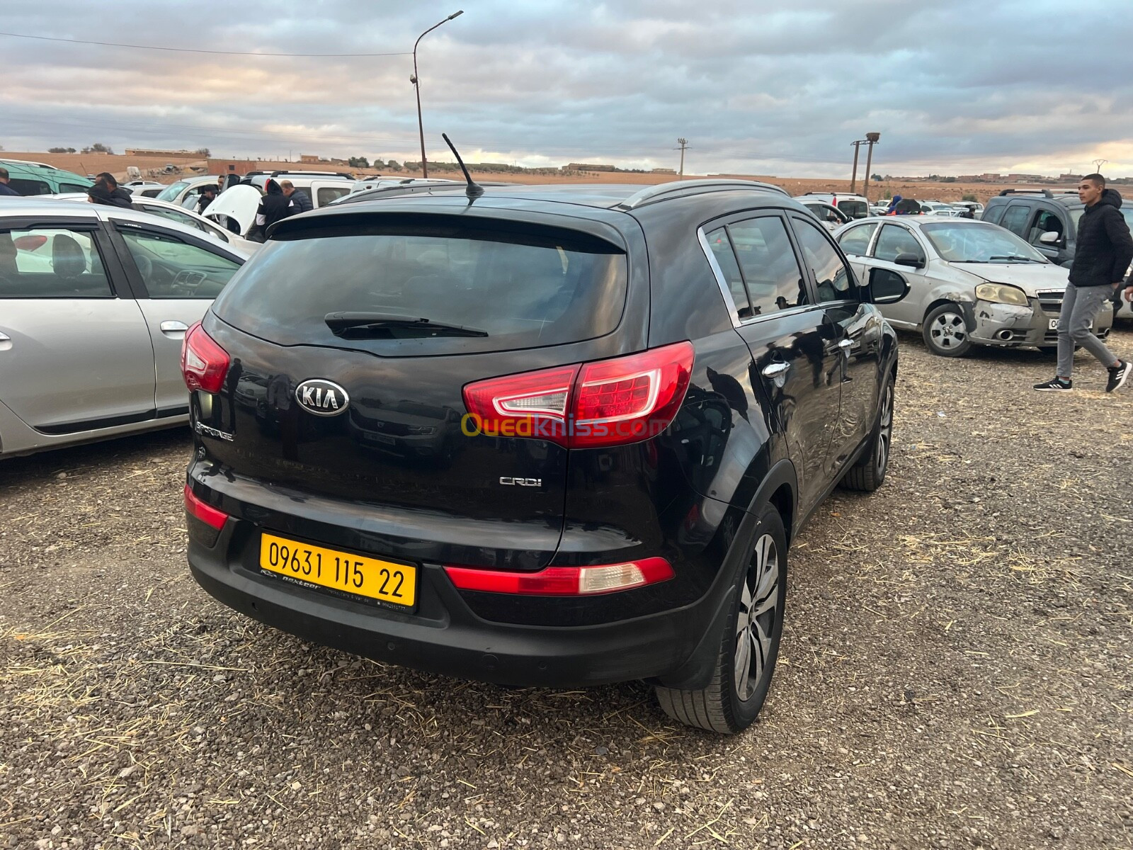 Kia Sportage 2015 Sportage