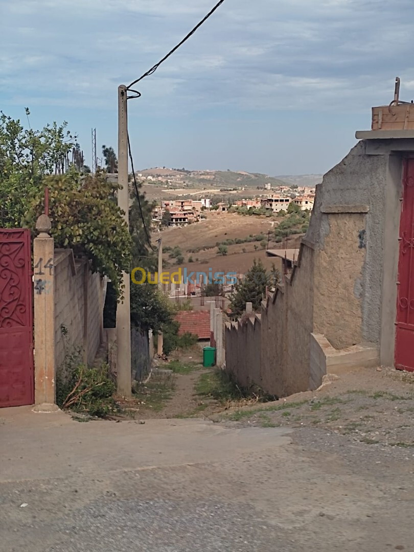 Vente Carcasse Boumerdès Larbatache