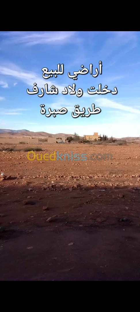 Vente Terrain Tlemcen Maghnia