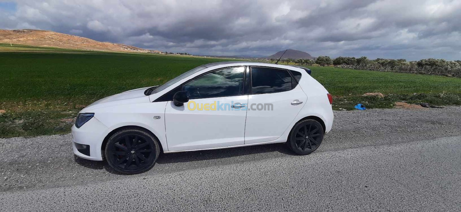 Seat Ibiza 2013 Ibiza