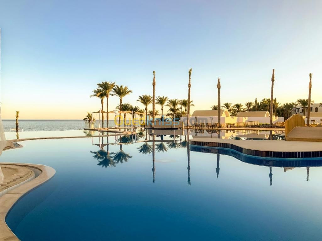 Egypte / Sharm El Sheikh la chaîne hôtelière SUNRISE 5* DE LUXE 34.000 Da 