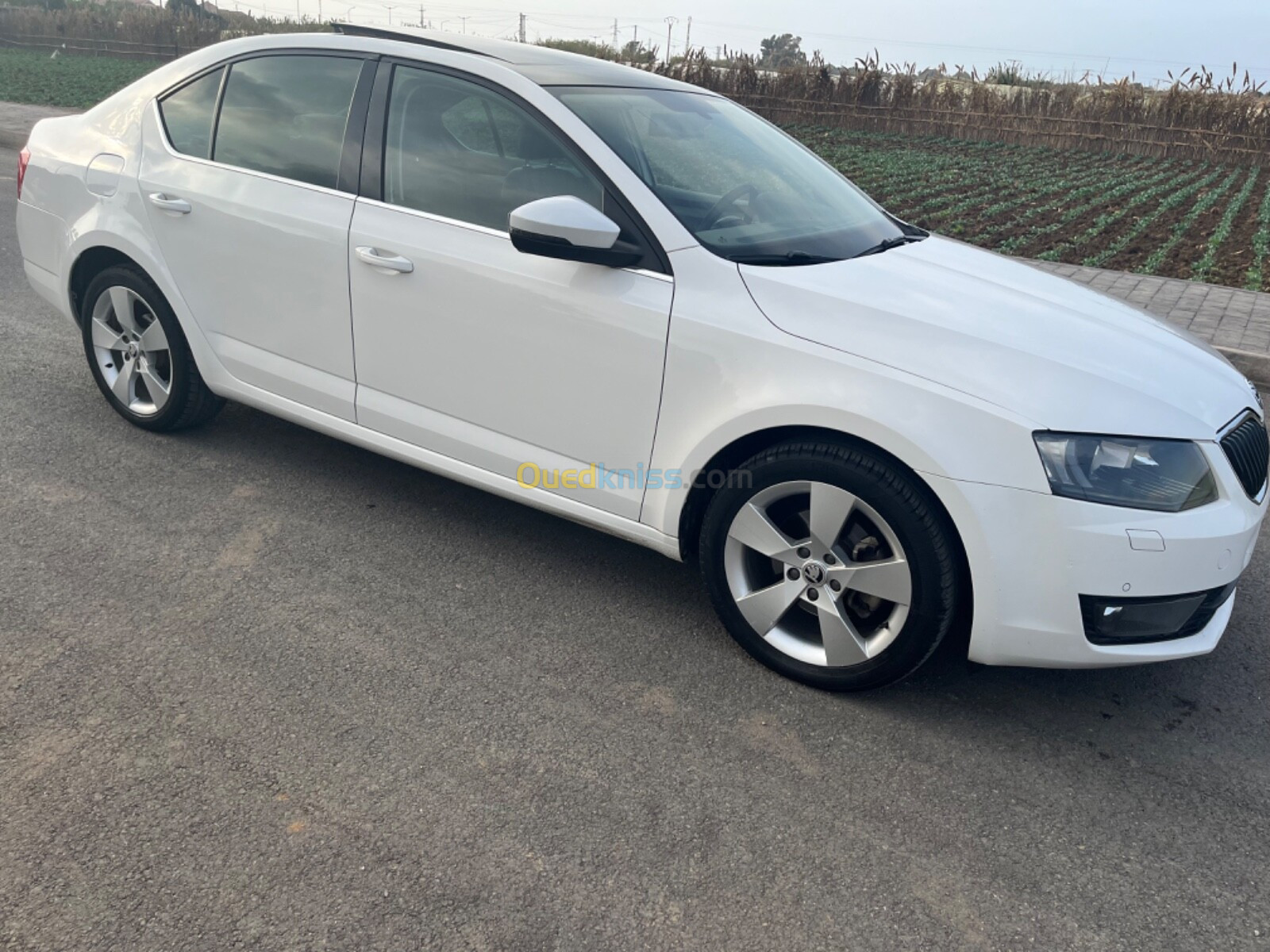 Skoda Octavia 2016 Elegance