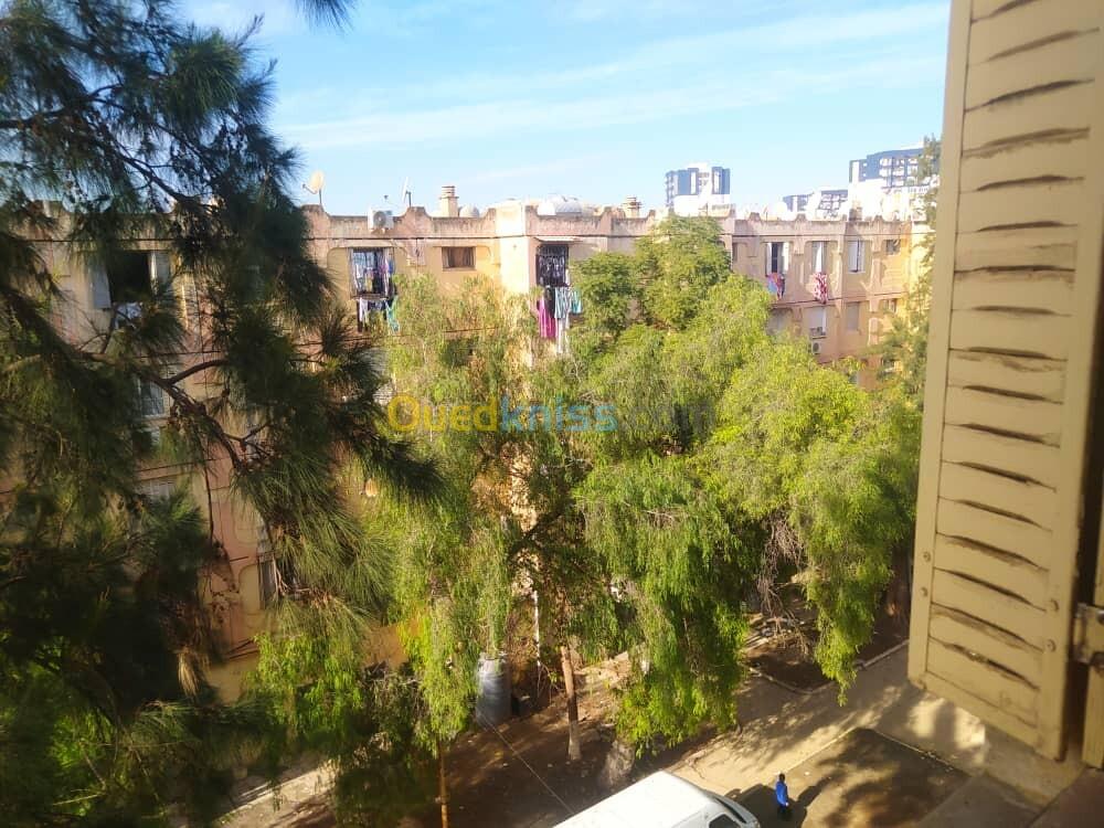 Vente Appartement F3 Blida Ouled yaich