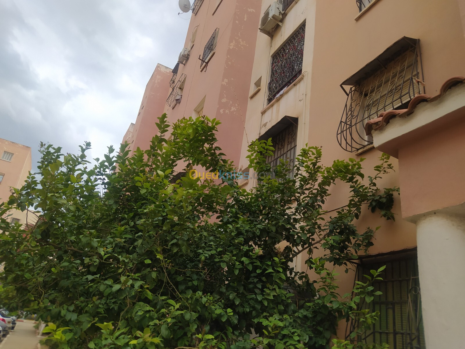 Vente Appartement F4 Blida Ouled yaich