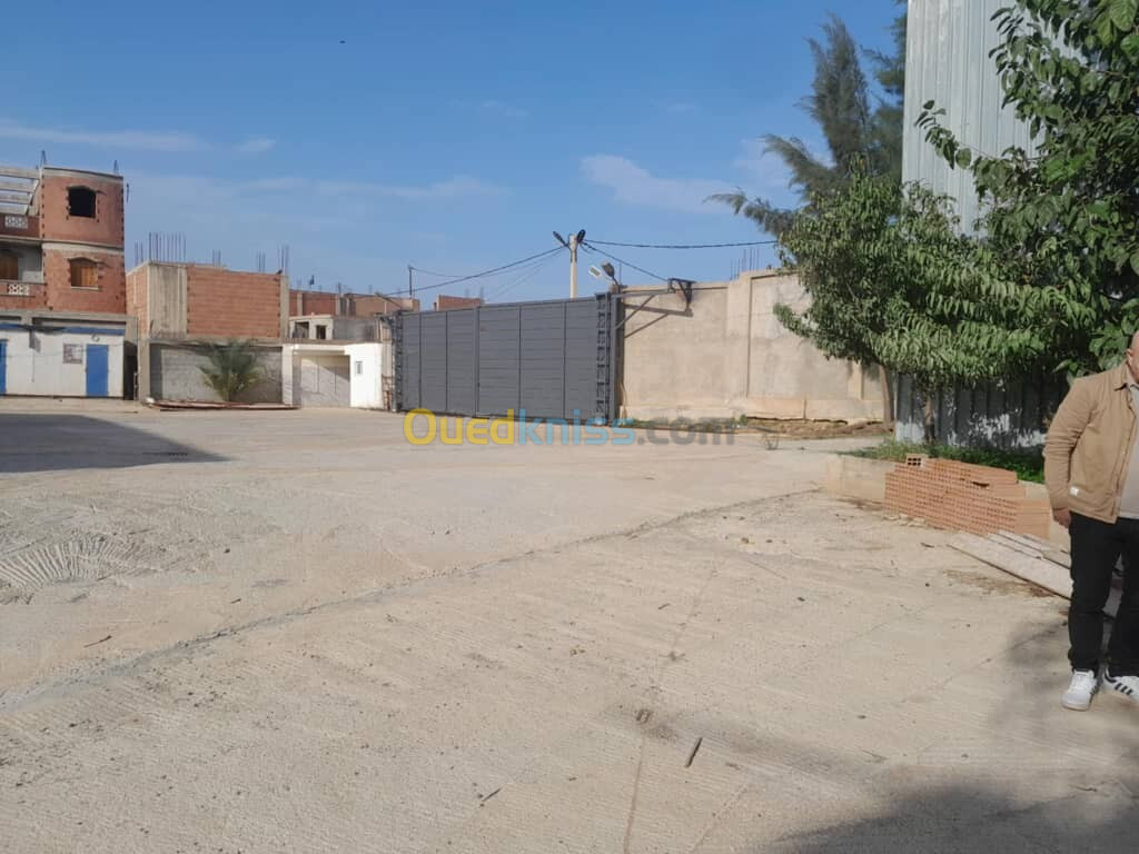 Location Hangar Alger Rouiba