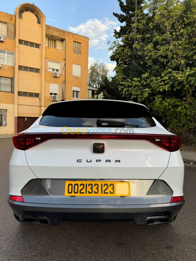 Seat Cupra 2023 Cupra fermantor