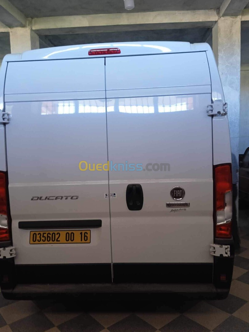 Fiat ducato 2023 