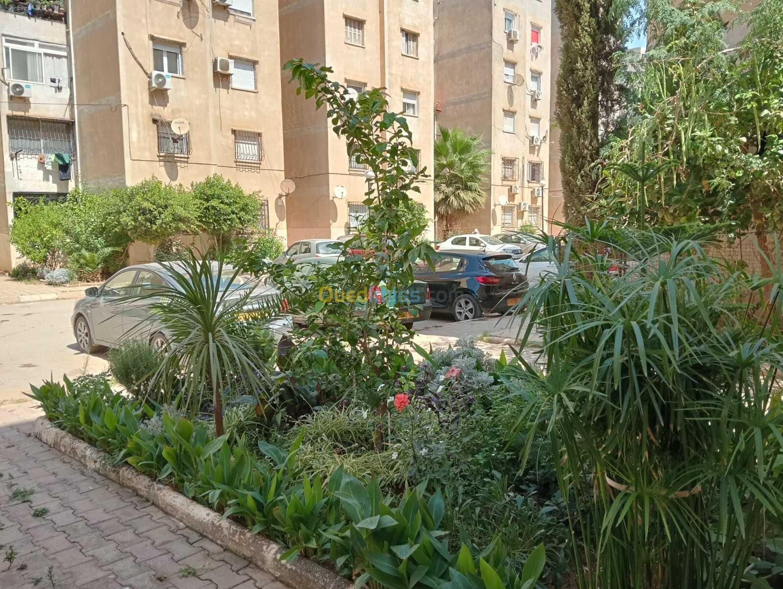 Vente Appartement F3 Alger Rouiba