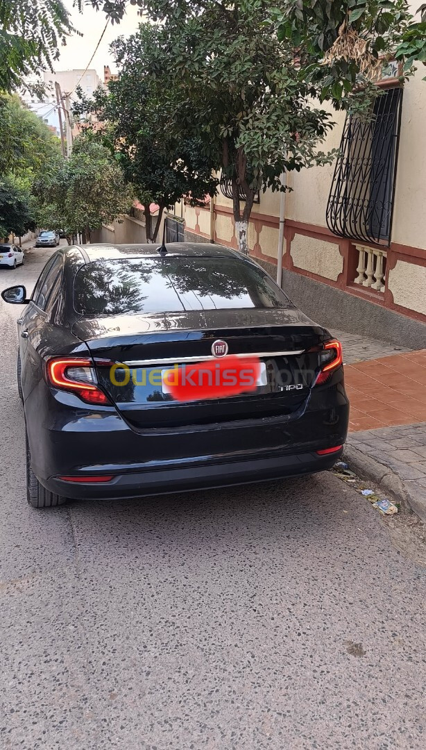 Fiat tipo 2024 live