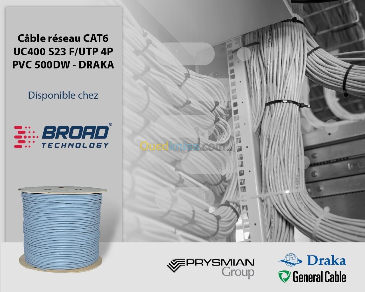 CABLE RESEAU CAT6 UC400 S23 F/UTP 4P PVC 500DW - DRAKA