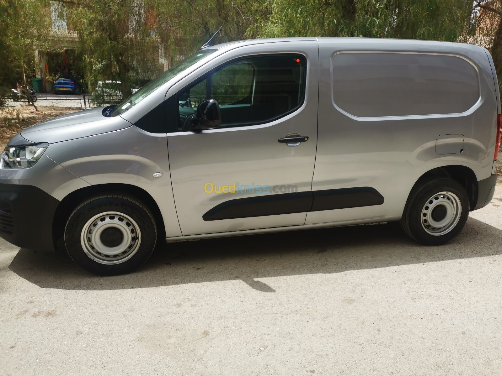 Fiat Professional Doblo 2024 professional